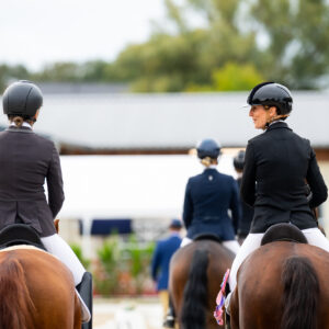 CDI Troisdorf 2023 - autumn