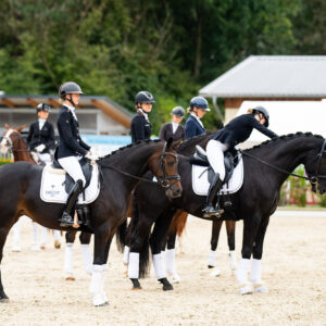 CDI Troisdorf 2023 - autumn