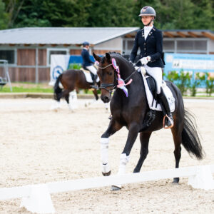 CDI Troisdorf 2023 - autumn
