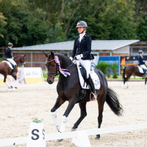 CDI Troisdorf 2023 - autumn