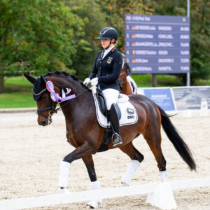 CDI Troisdorf 2023 - autumn