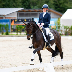CDI Troisdorf 2023 - autumn