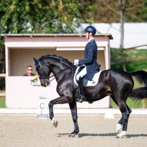 CDI Troisdorf 2023 - autumn