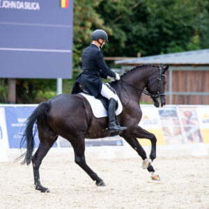 CDI Troisdorf 2023 - autumn
