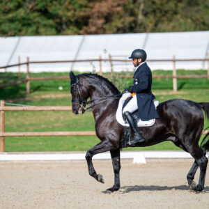 CDI Troisdorf 2023 - autumn