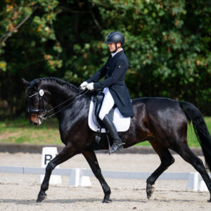 CDI Troisdorf 2023 - autumn