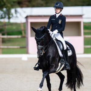 CDI Troisdorf 2023 - autumn