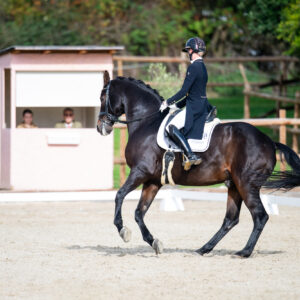 CDI Troisdorf 2023 - autumn