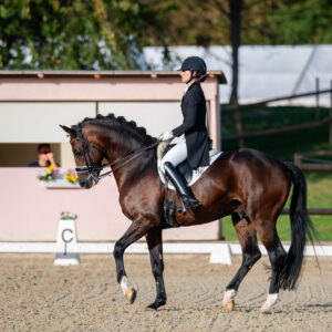 CDI Troisdorf 2023 - autumn