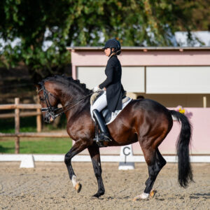 CDI Troisdorf 2023 - autumn
