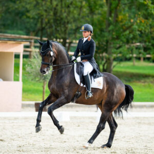CDI Troisdorf 2023 - autumn