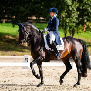 CDI Troisdorf 2023 - autumn