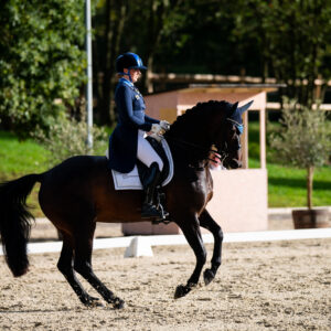 CDI Troisdorf 2023 - autumn