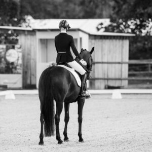 CDI Troisdorf 2023 - autumn