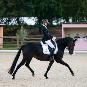 CDI Troisdorf 2023 - autumn