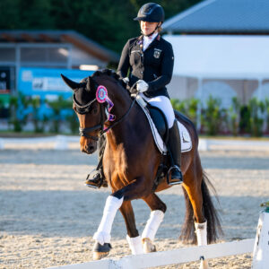CDI Troisdorf 2023 - autumn