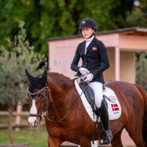 CDI Troisdorf 2023 - autumn