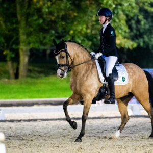 CDI Troisdorf 2023 - autumn