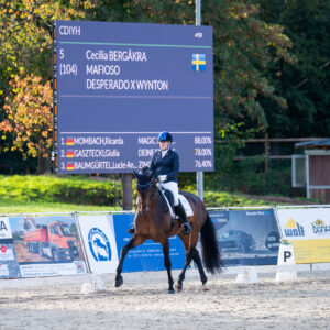 CDI Troisdorf 2023 - autumn