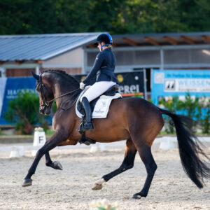 CDI Troisdorf 2023 - autumn