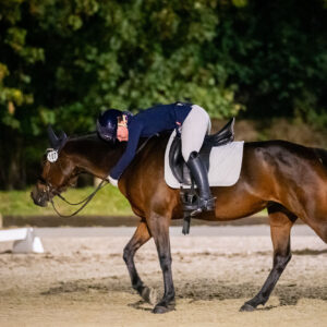 CDI Troisdorf 2023 - autumn