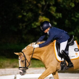 CDI Troisdorf 2023 - autumn