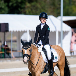 CDI Troisdorf 2023 - autumn