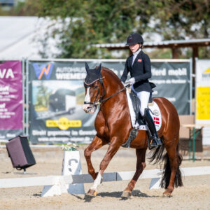 CDI Troisdorf 2023 - autumn