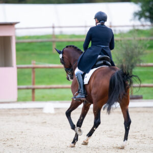 CDI Troisdorf 2023 - autumn