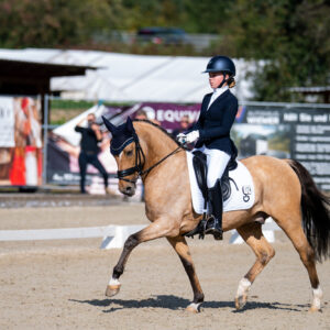 CDI Troisdorf 2023 - autumn