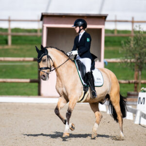 CDI Troisdorf 2023 - autumn