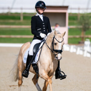 CDI Troisdorf 2023 - autumn