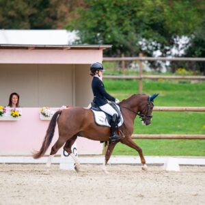 CDI Troisdorf 2023 - autumn