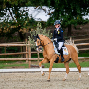 CDI Troisdorf 2023 - autumn