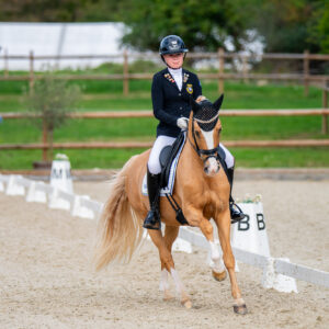 CDI Troisdorf 2023 - autumn