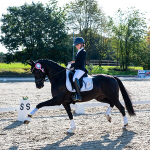 CDI Troisdorf 2023 - autumn