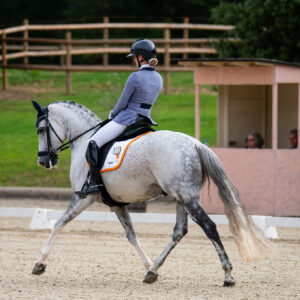 CDI Troisdorf 2023 - autumn