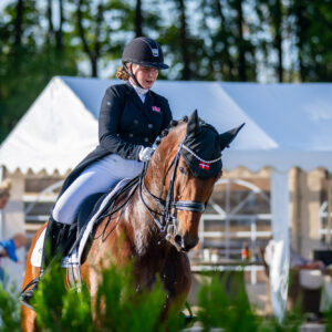 CDI Troisdorf 2023 - autumn