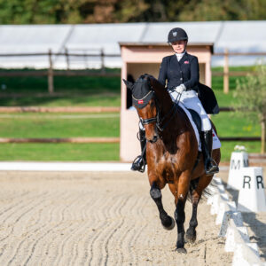 CDI Troisdorf 2023 - autumn