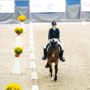 CDI Wroclaw 2023 - autumn