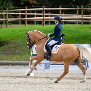CDI Troisdorf 2023 - autumn