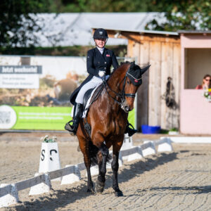 CDI Troisdorf 2023 - autumn