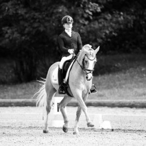 CDI Troisdorf 2023 - autumn