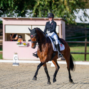 CDI Troisdorf 2023 - autumn