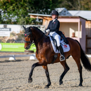 CDI Troisdorf 2023 - autumn