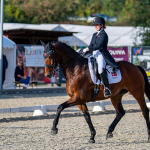 CDI Troisdorf 2023 - autumn