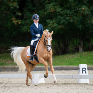 CDI Troisdorf 2023 - autumn