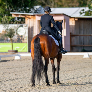 CDI Troisdorf 2023 - autumn