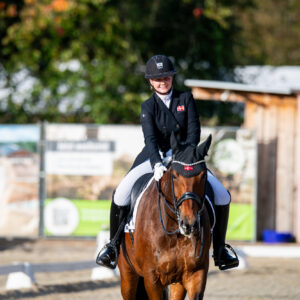 CDI Troisdorf 2023 - autumn