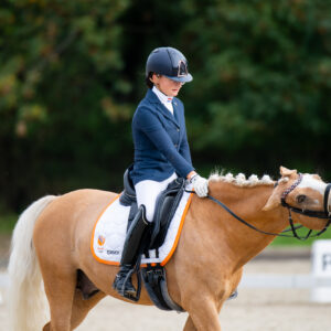 CDI Troisdorf 2023 - autumn